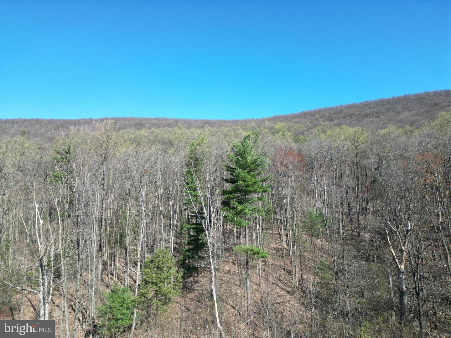 690 High Road photo 34