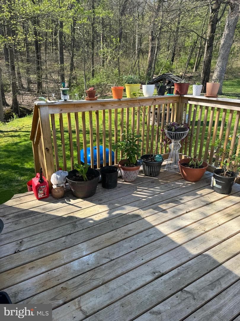 411 Frieden Manor photo 14