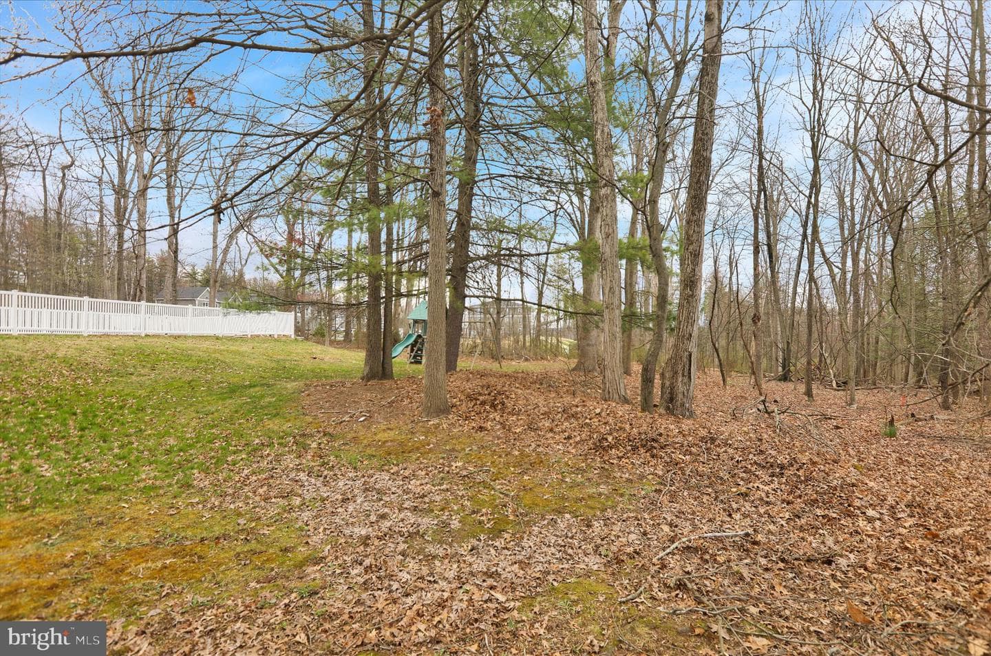 2004 Ridgeview Drive photo 46