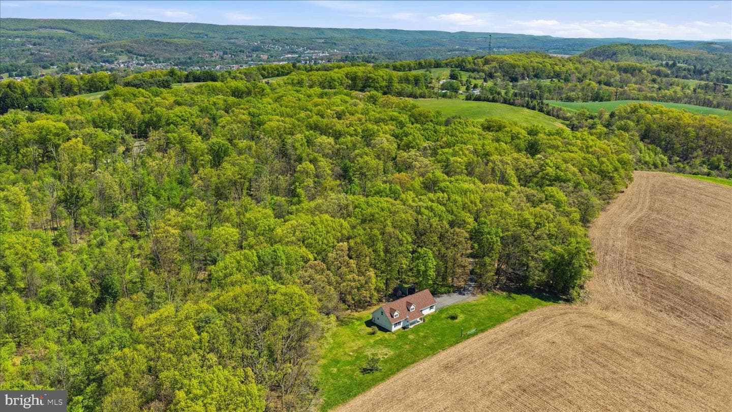 954 Schuylkill Mountain Road photo 5