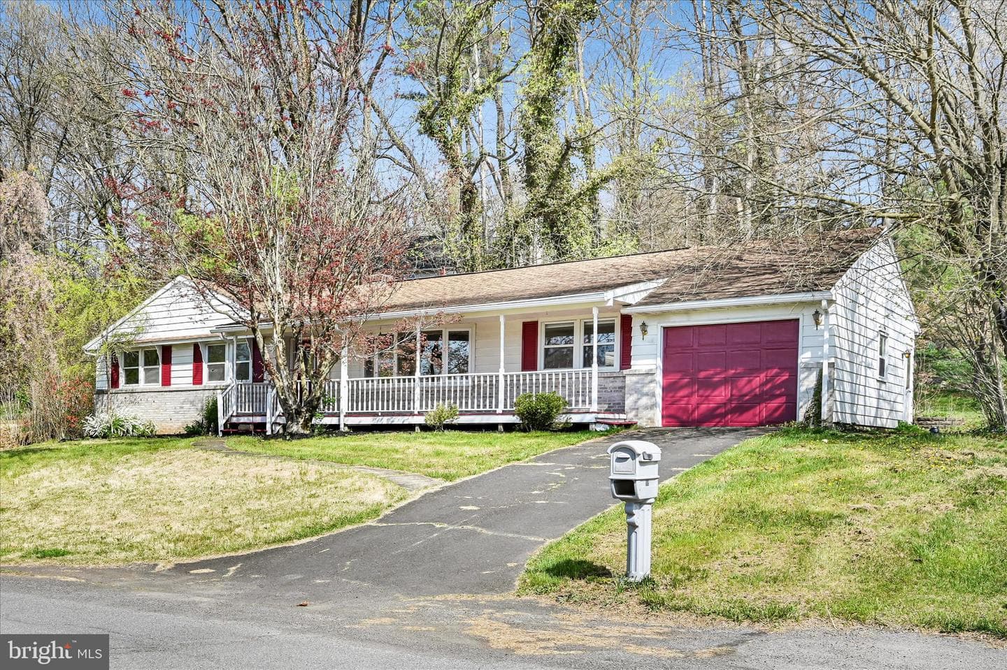 515 Pine Hill Drive photo 4
