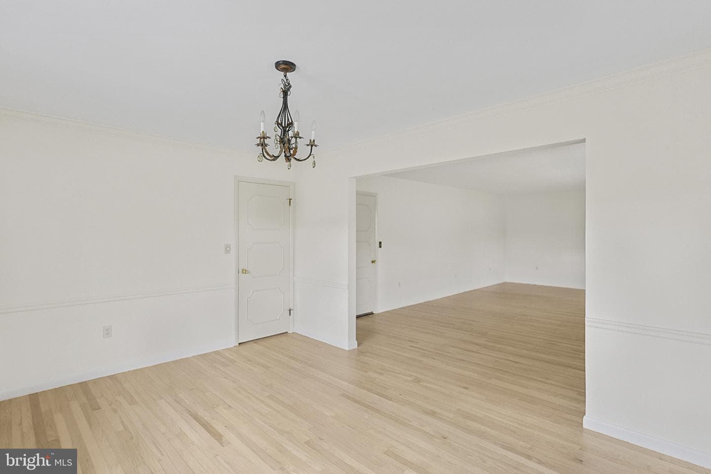 7 Ardmore Avenue photo 10