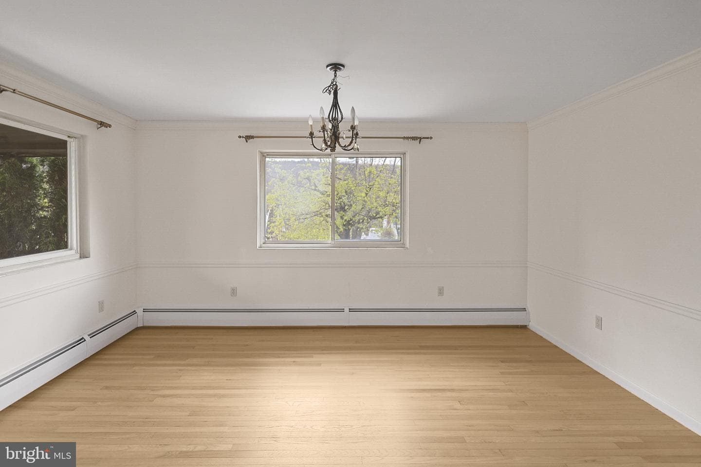 7 Ardmore Avenue photo 11