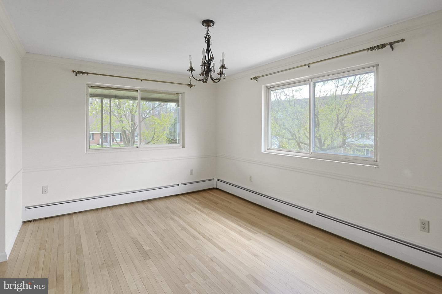 7 Ardmore Avenue photo 12