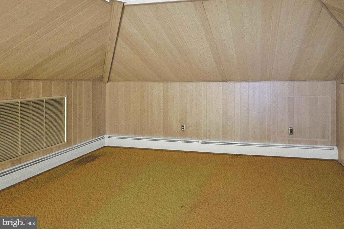 7 Ardmore Avenue photo 31