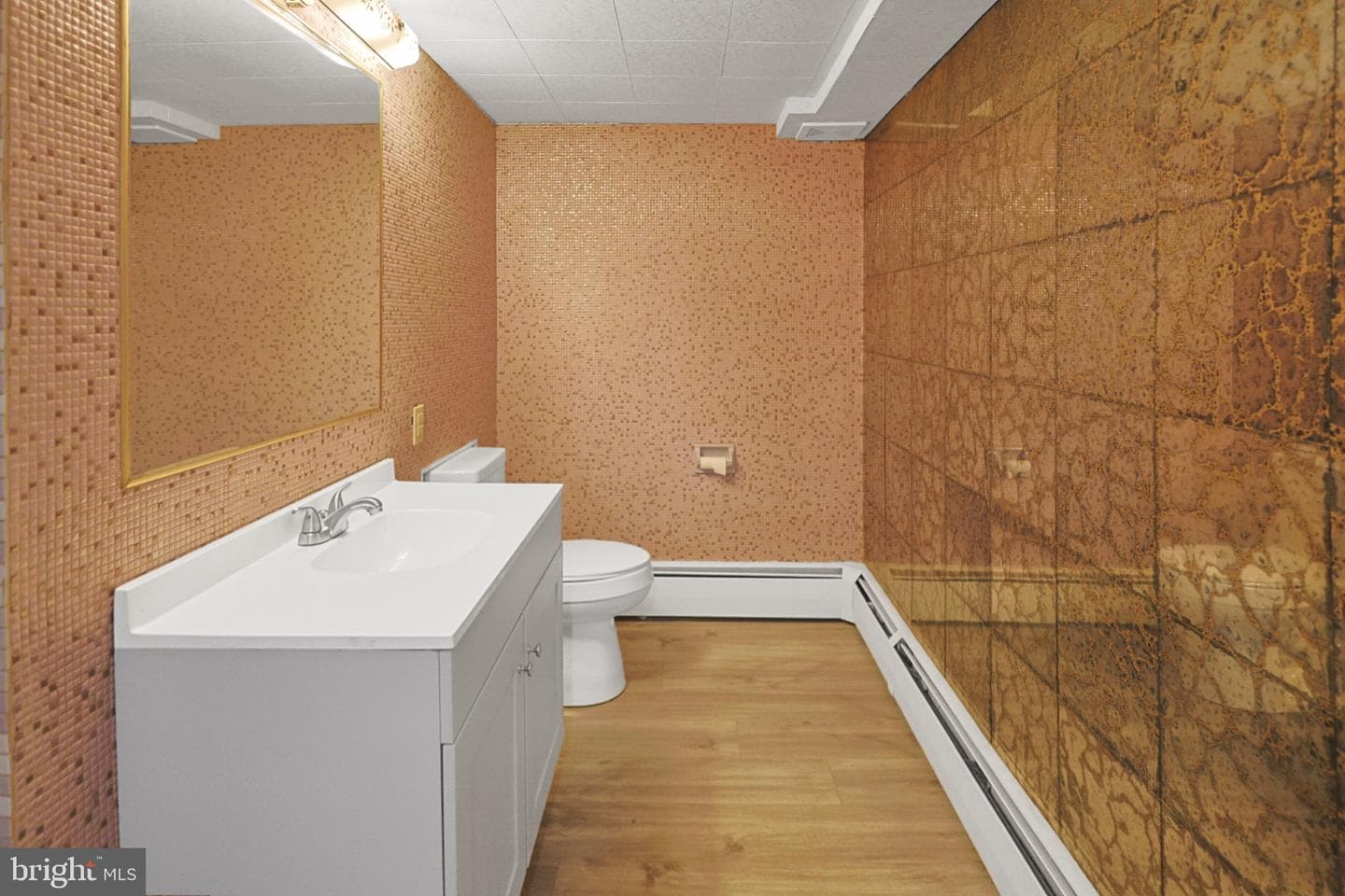 7 Ardmore Avenue photo 35