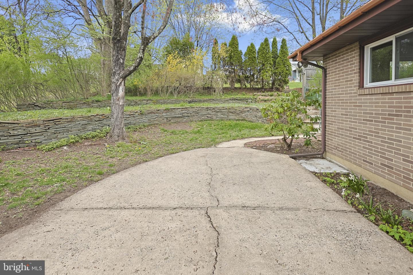 7 Ardmore Avenue photo 39