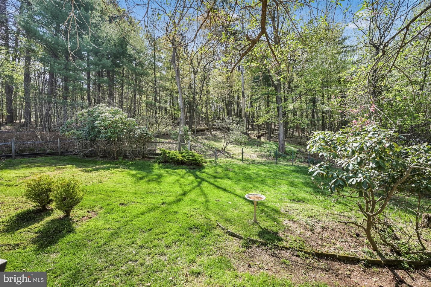 2377 Stallion Drive photo 48
