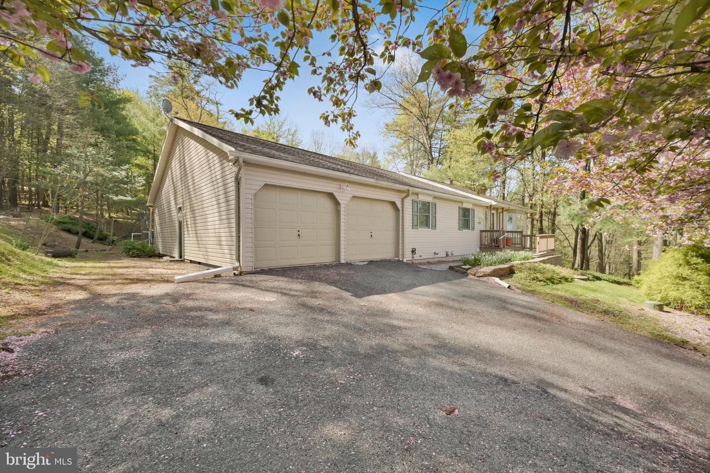 2377 Stallion Drive photo 5