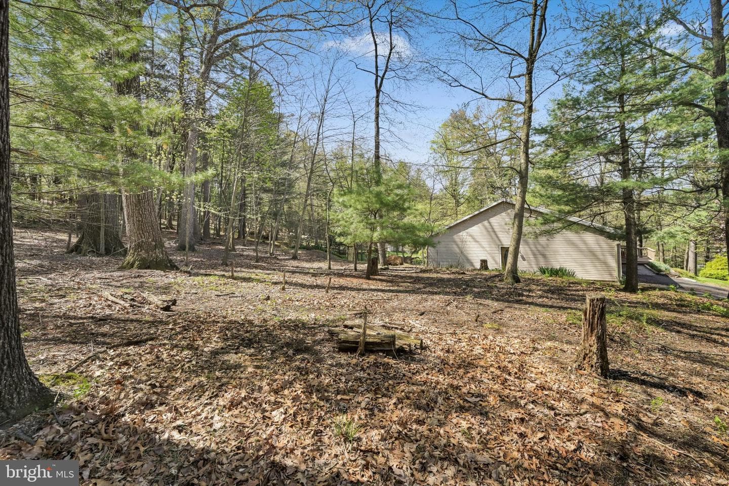 2377 Stallion Drive photo 53
