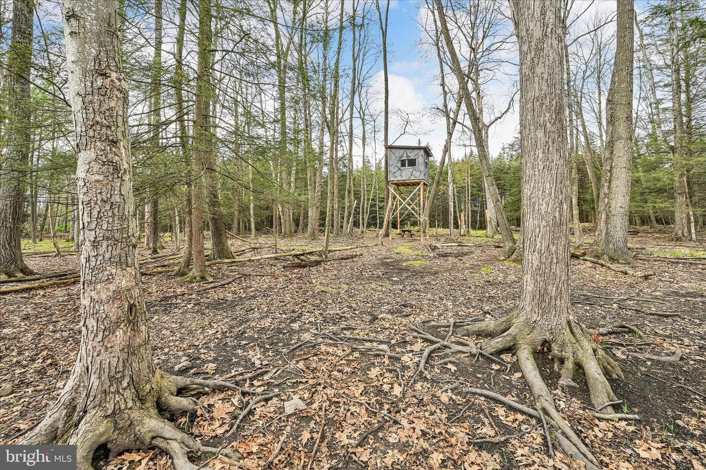 354 Millers Road photo 44