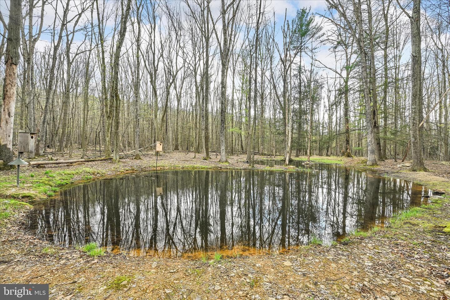 354 Millers Road photo 48