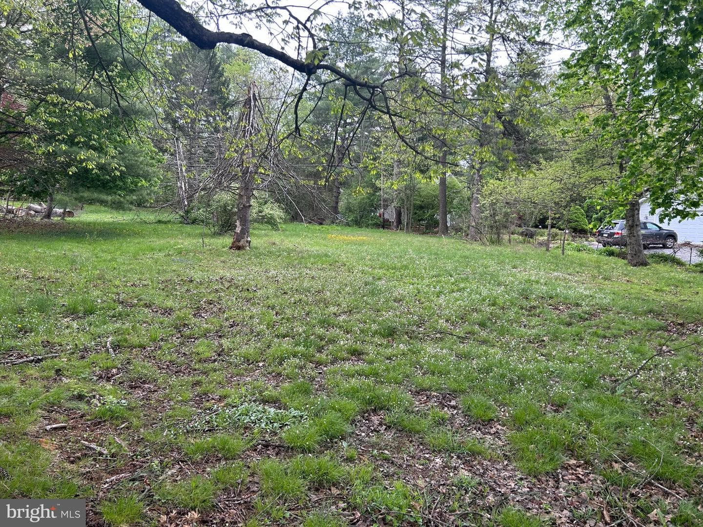 0 Laurel Road photo 7
