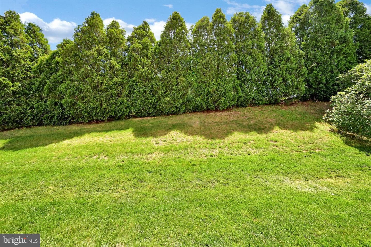 526 Lantern Green Way photo 34