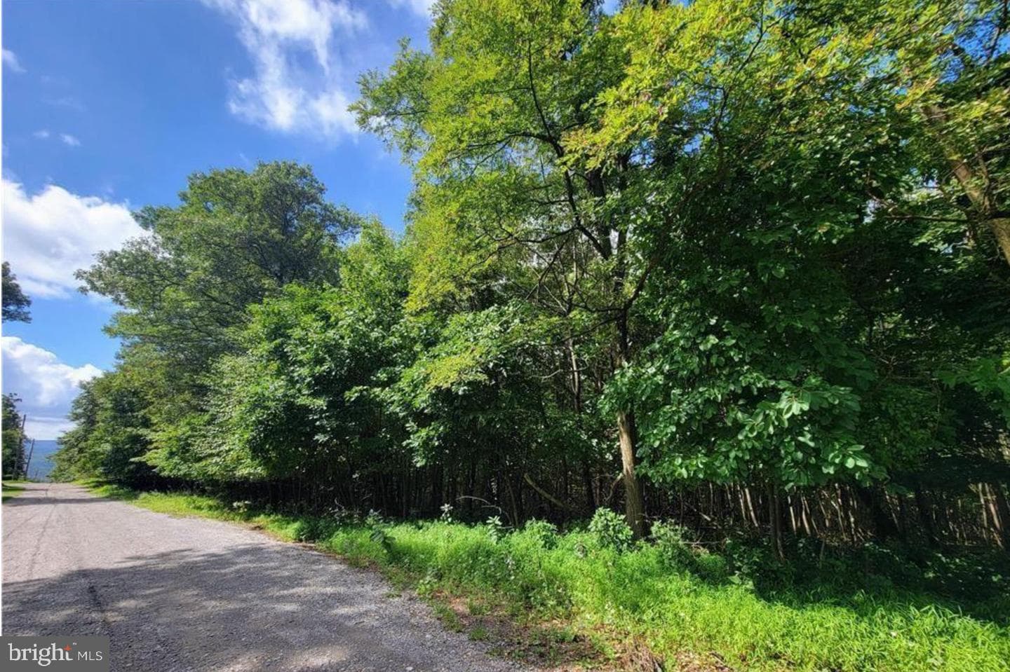 247 Whitetail Road photo 11