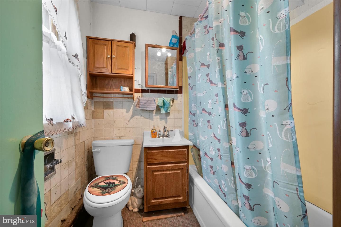 24 Upper Beechwood Avenue photo 21