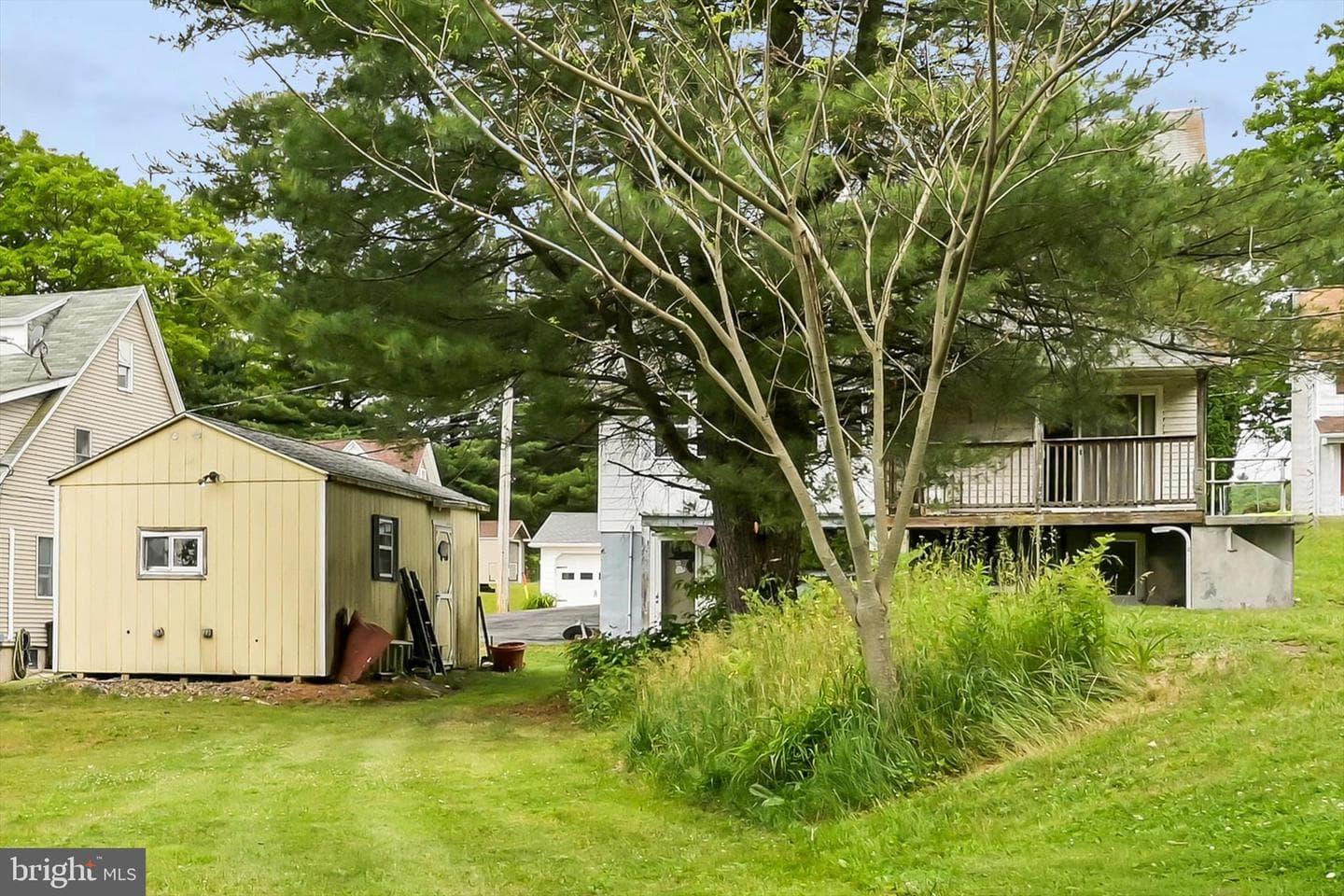 24 Upper Beechwood Avenue photo 31
