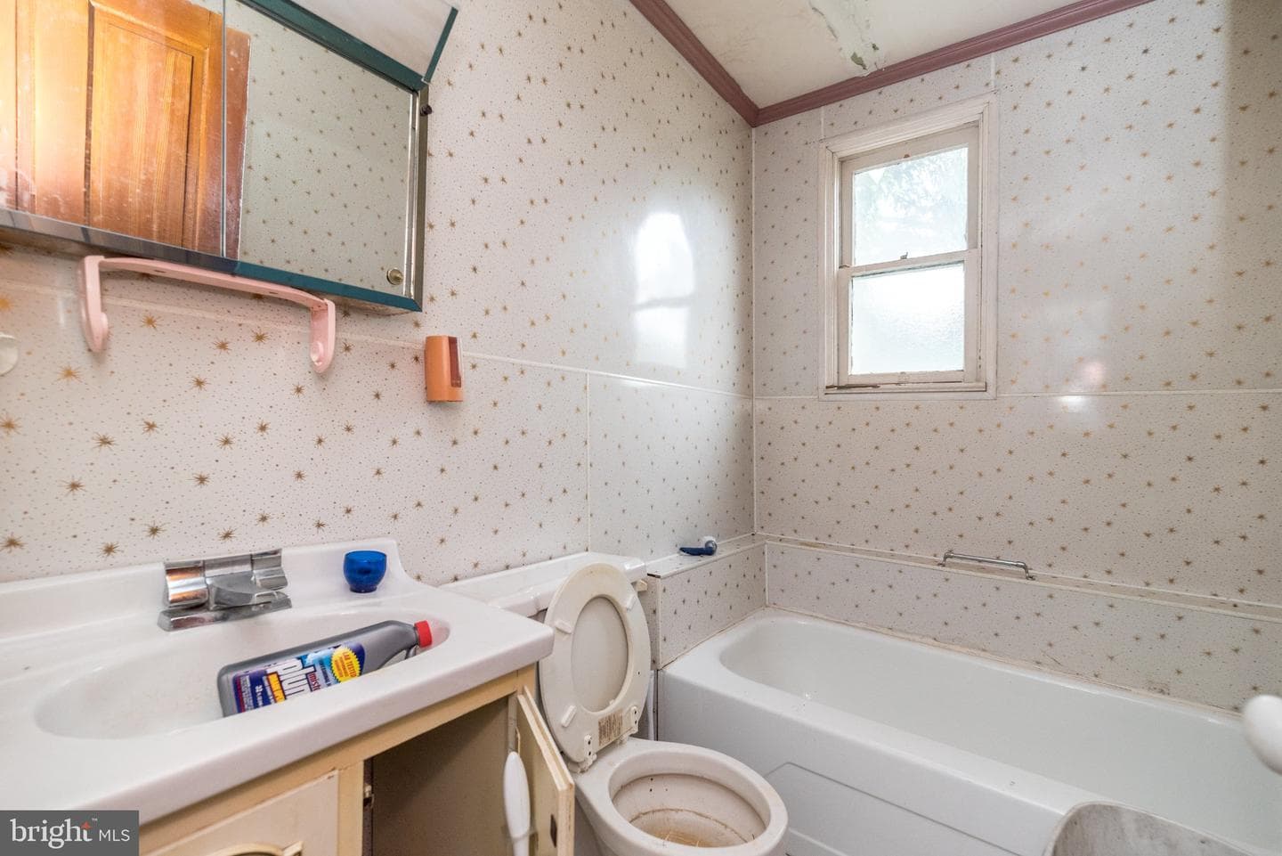 402 Hobart Street photo 16