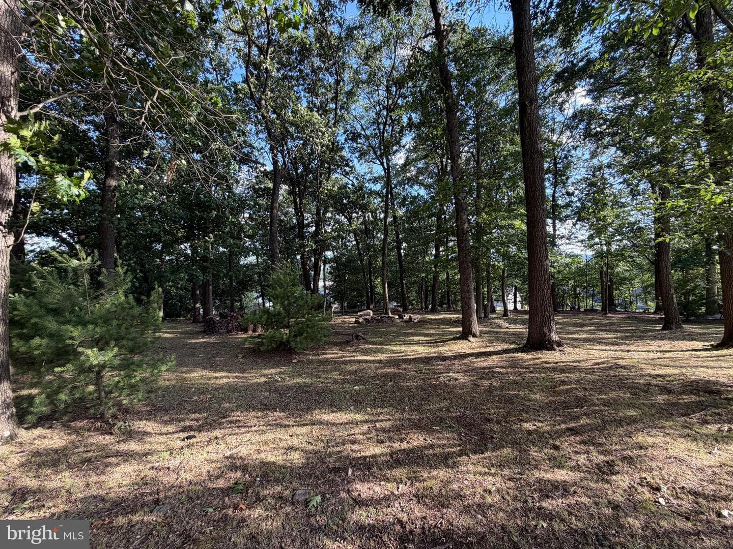 84 Oak Ledge Avenue photo 45