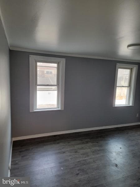437 Morgan Avenue photo 16
