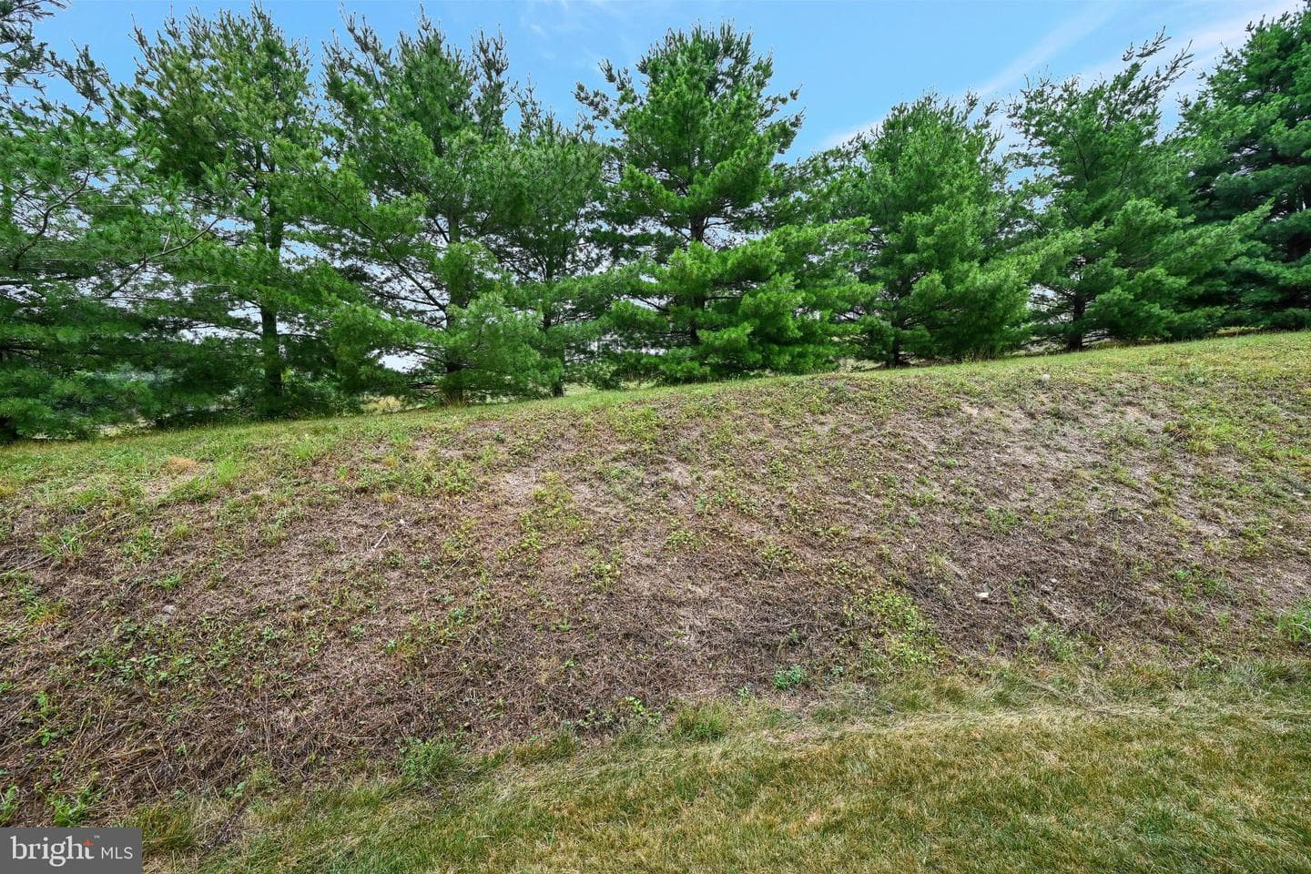 5 E Abby Lane photo 29