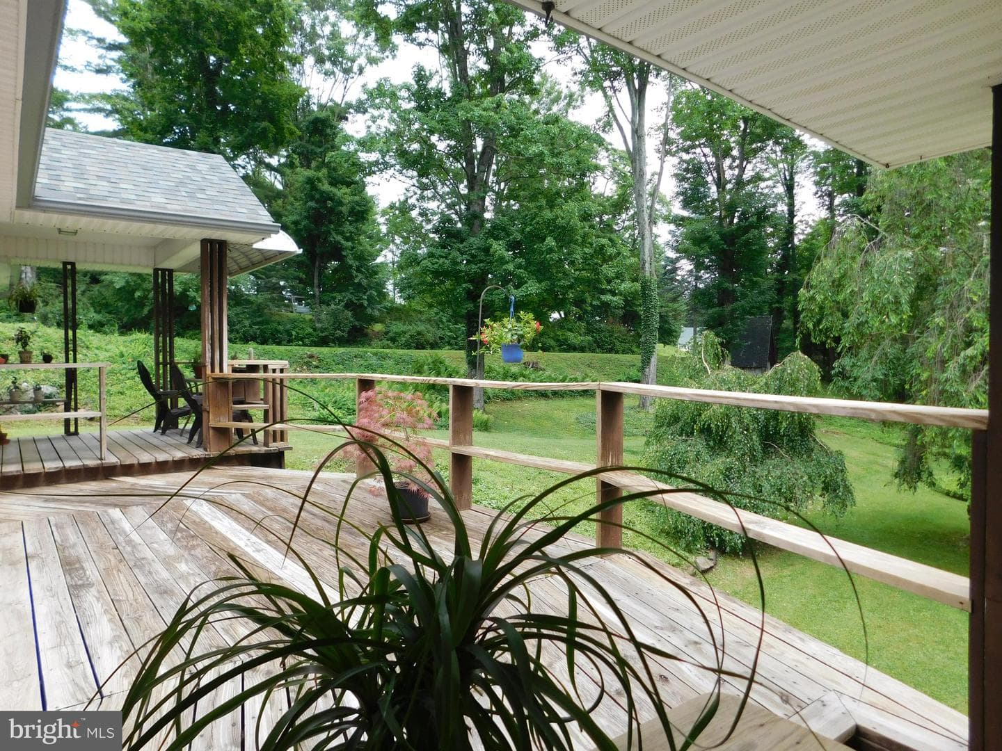 7 Ryan Avenue photo 42