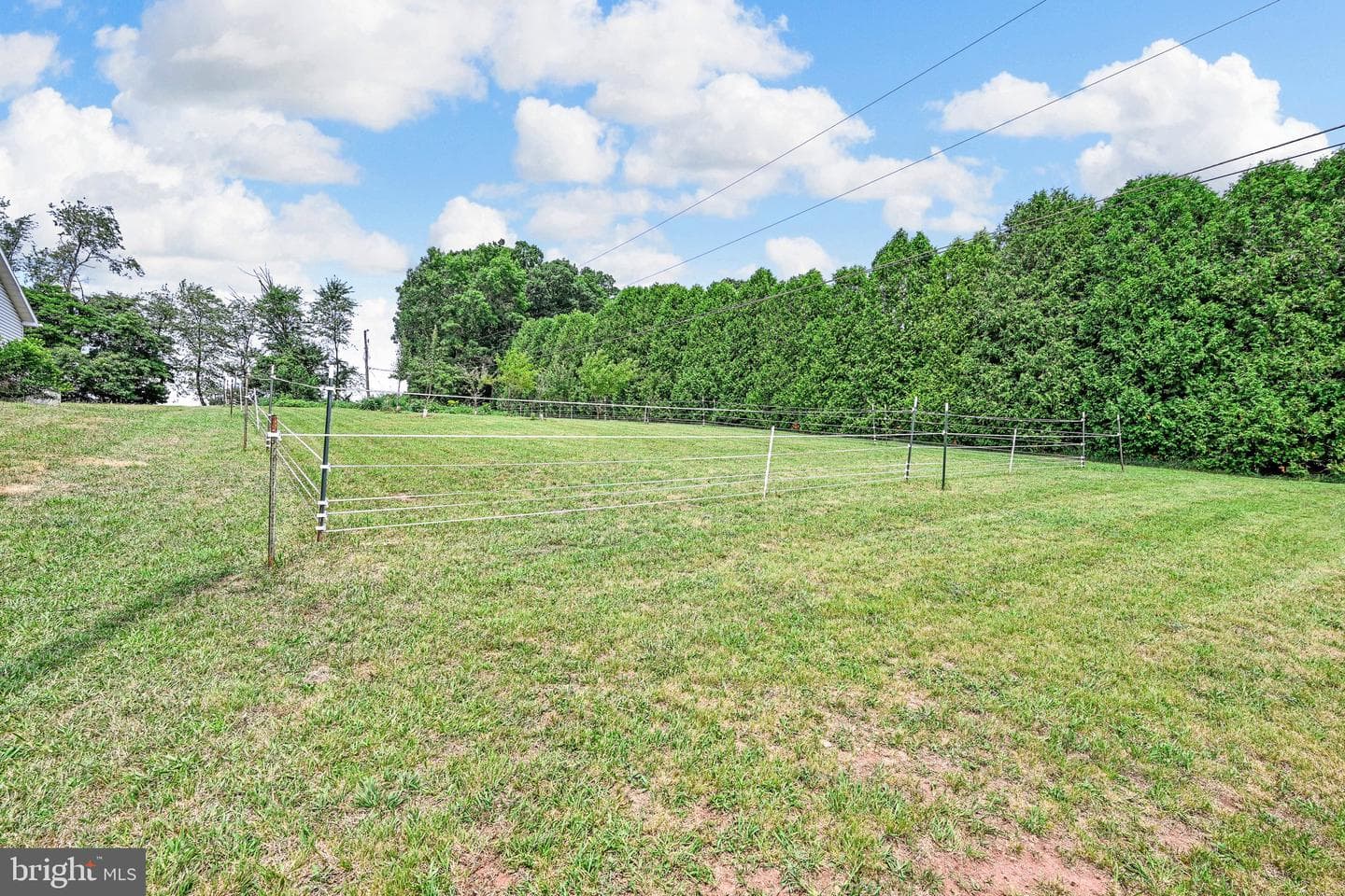 1138 Fawn Cove photo 49
