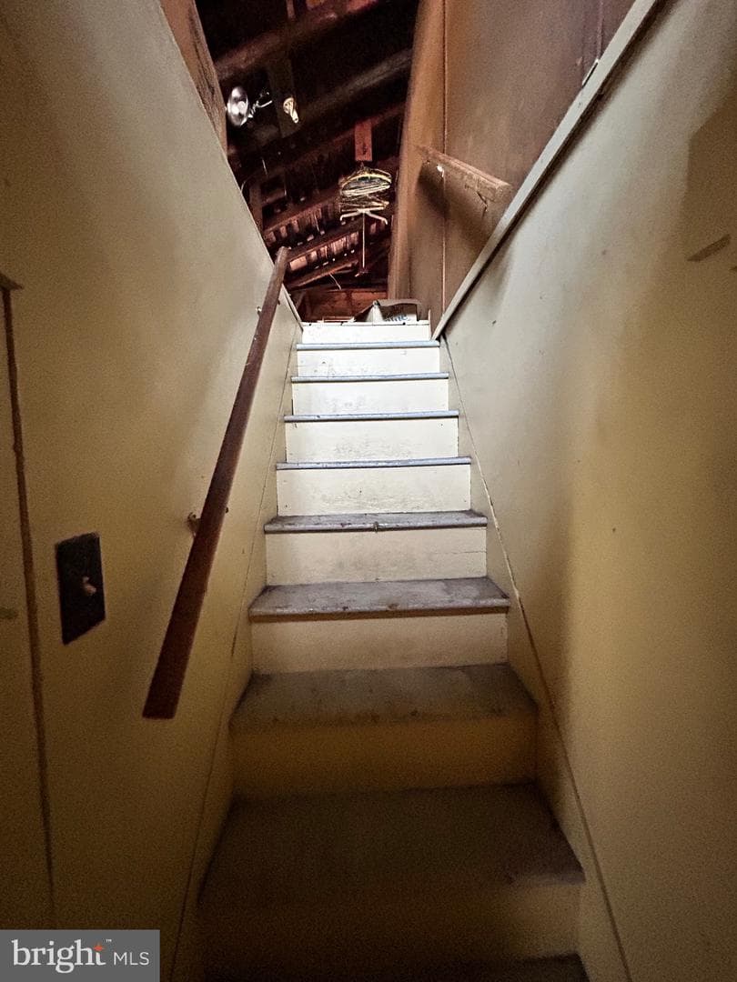 117 Hunter Street photo 22
