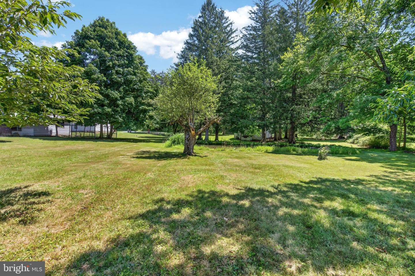 51 Reynolds Road photo 20