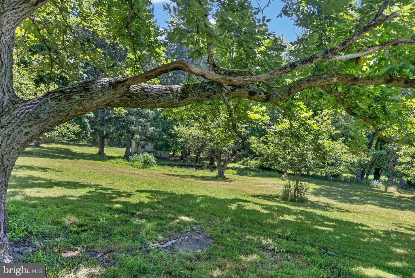 51 Reynolds Road photo 21