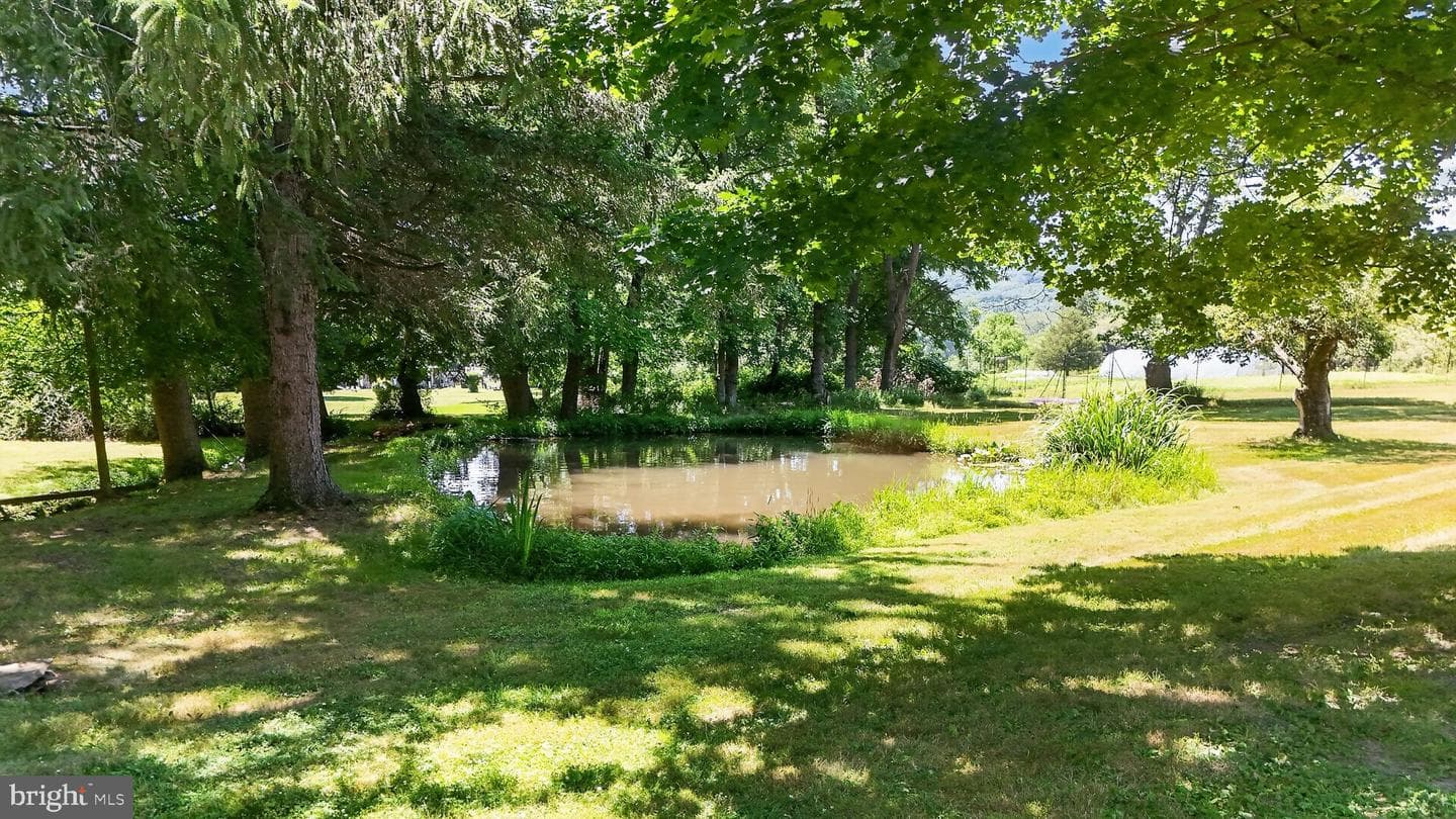 51 Reynolds Road photo 7