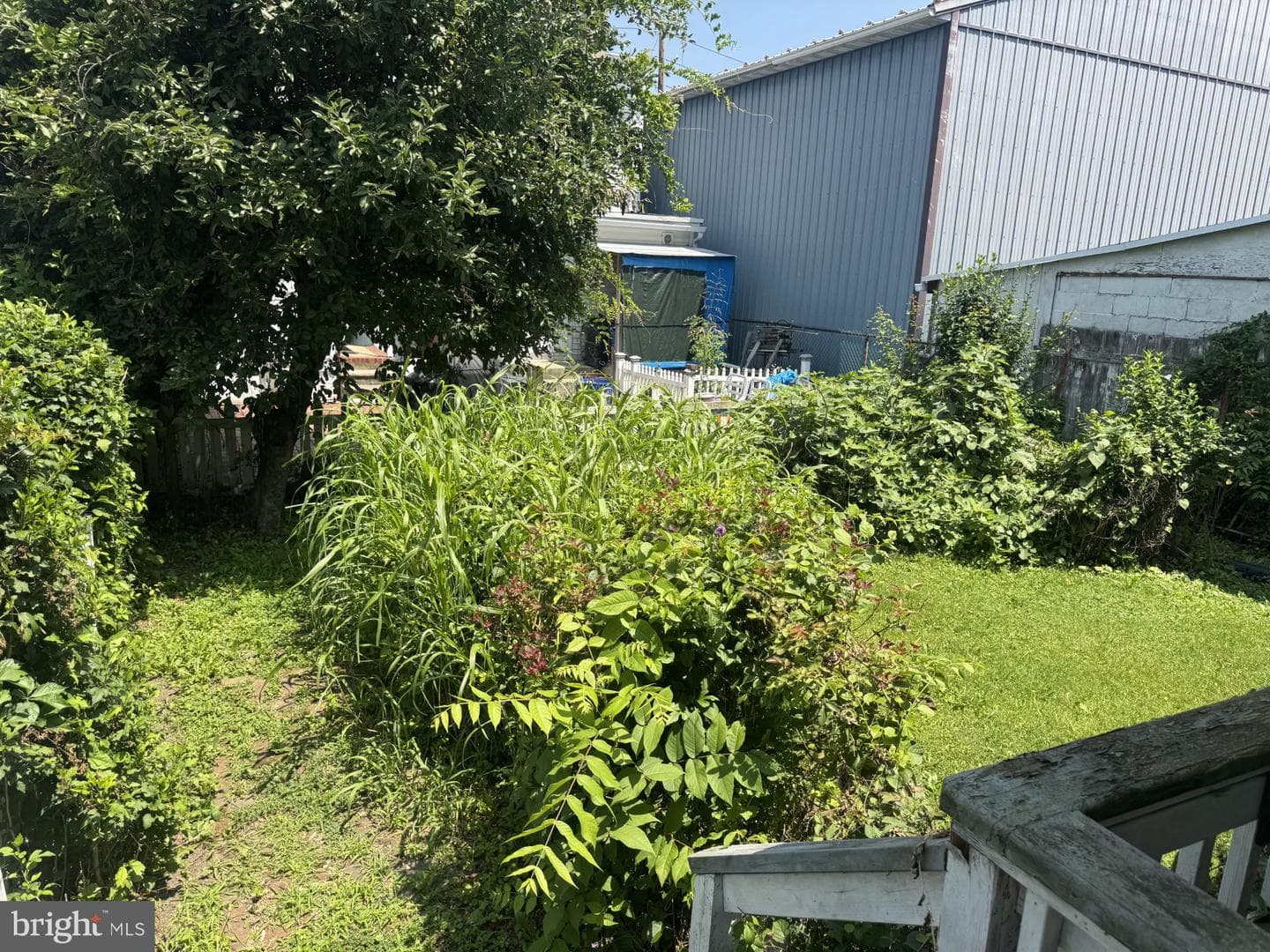 126 Lewis Street photo 26