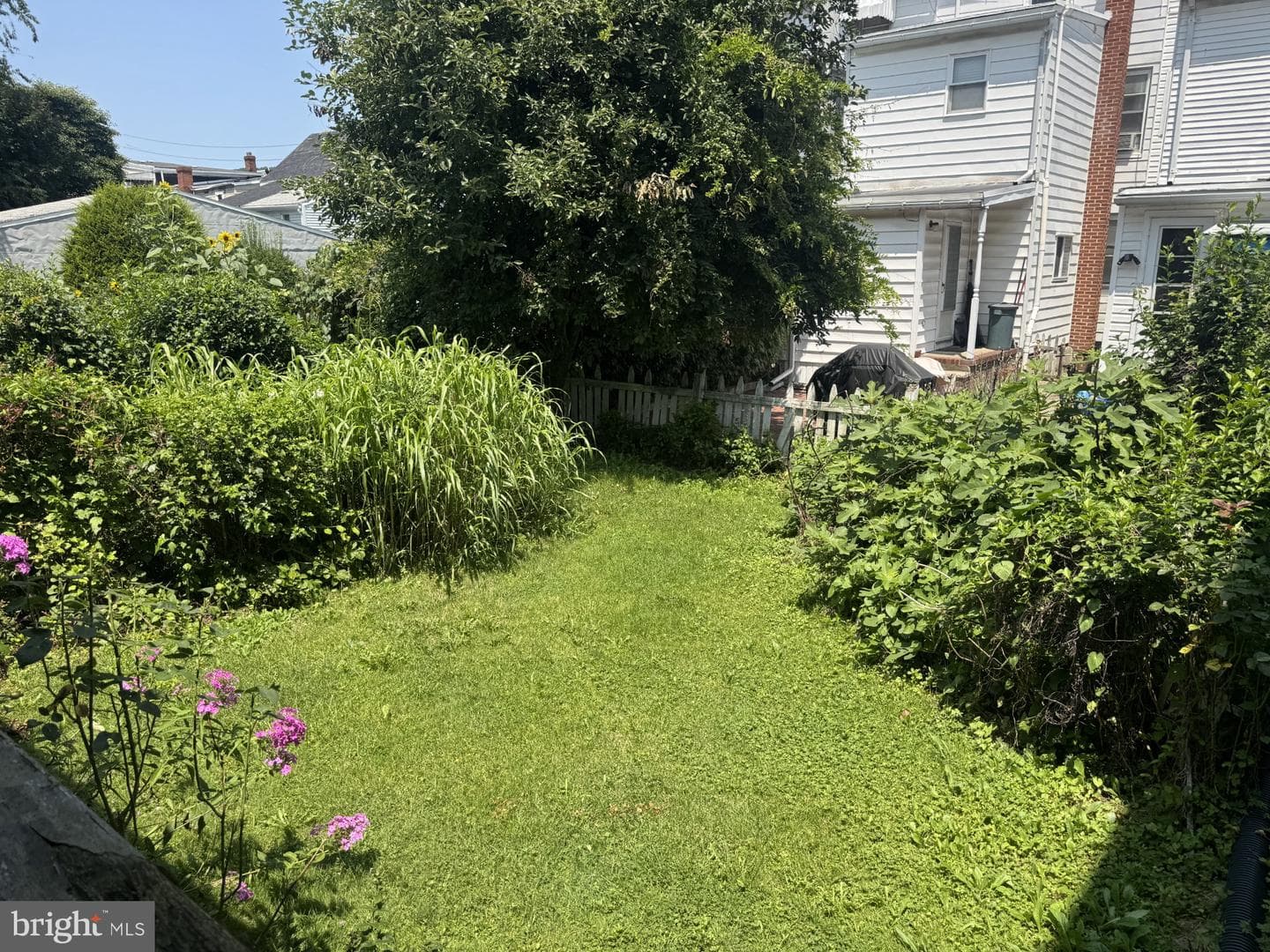 126 Lewis Street photo 27
