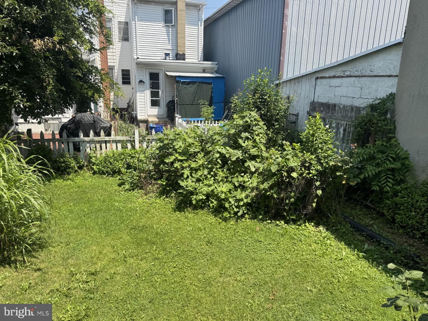 126 Lewis Street photo 28