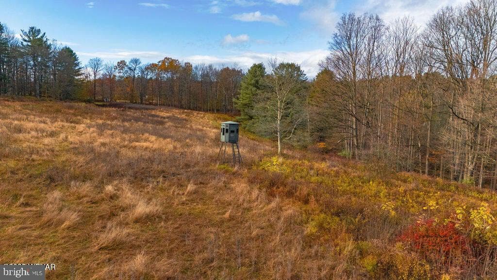 1382 Bear Mountain Rd photo 56