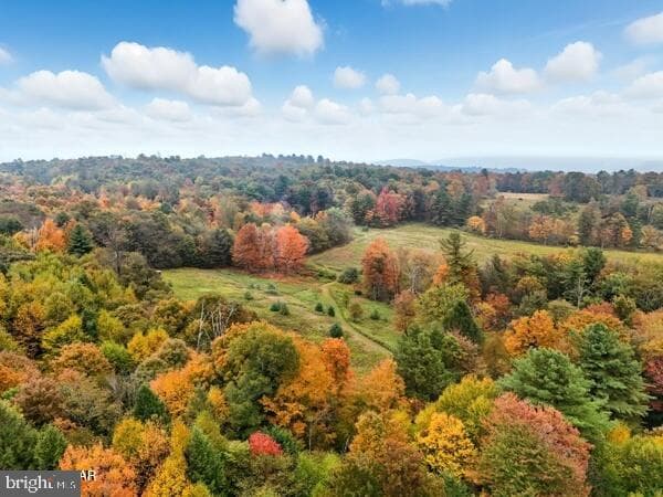 1382 Bear Mountain Rd photo 57
