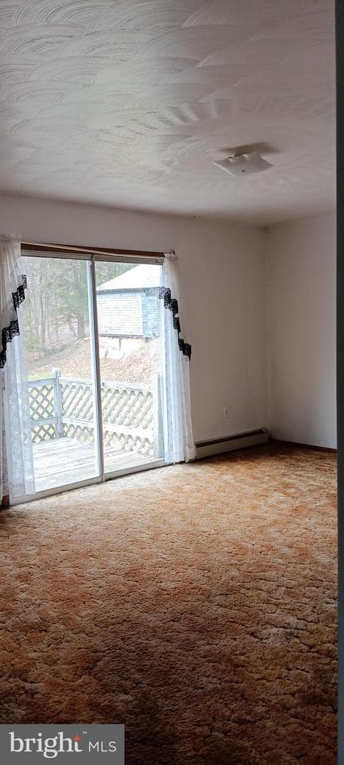1243 Shaffer Mountain Road photo 36