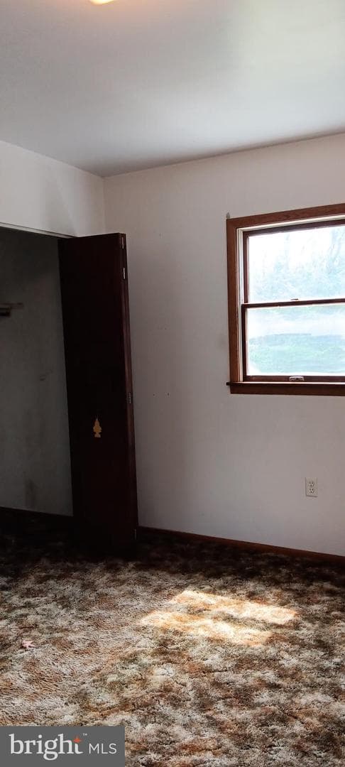 1243 Shaffer Mountain Road photo 41