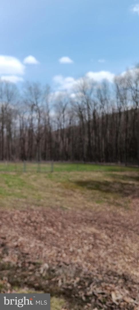 1243 Shaffer Mountain Road photo 8