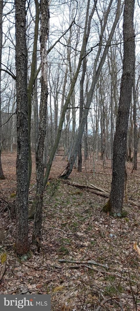 1243 Shaffer Mountain Road photo 9