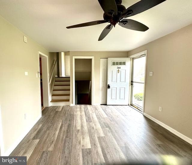 244 Kelly Drive photo 22