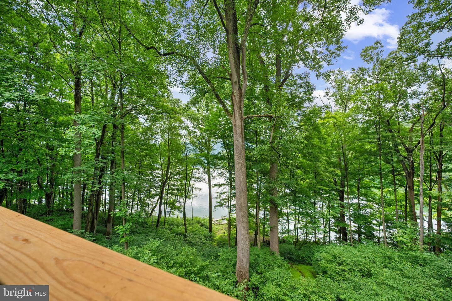 112 Scenic View Dr photo 30