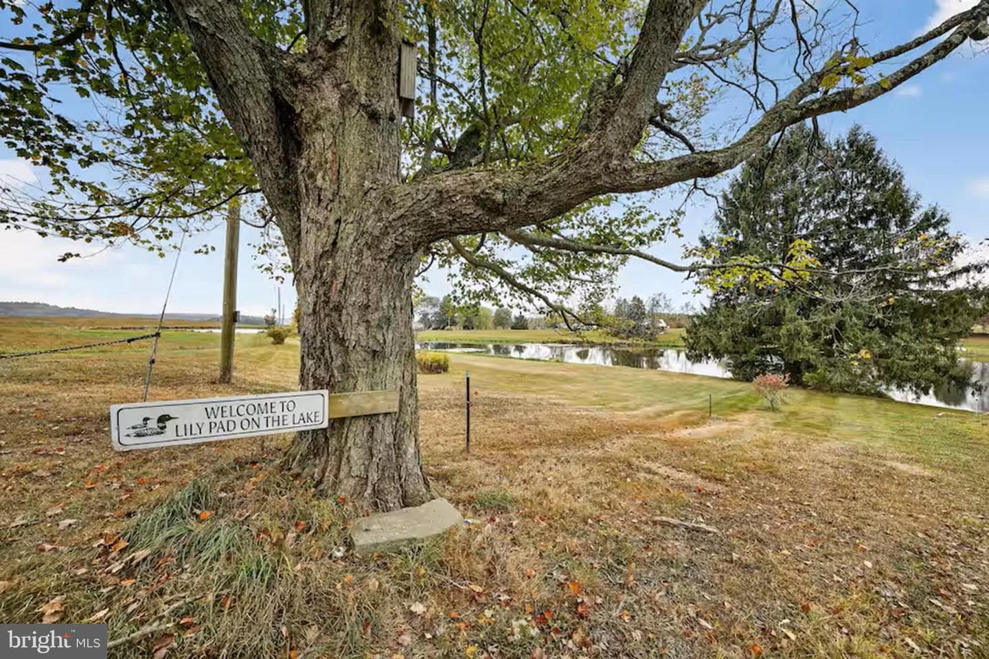196 Woodchopper Lane photo 3