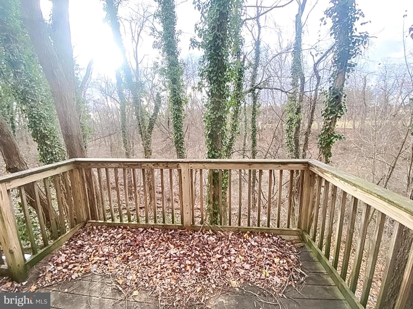 8 Garden Circle photo 3