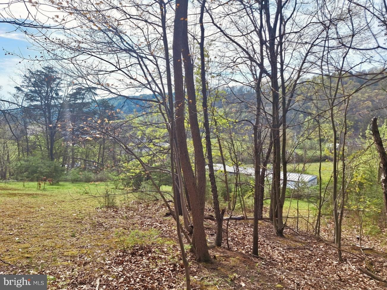 435 Neitz Valley Rd photo 13