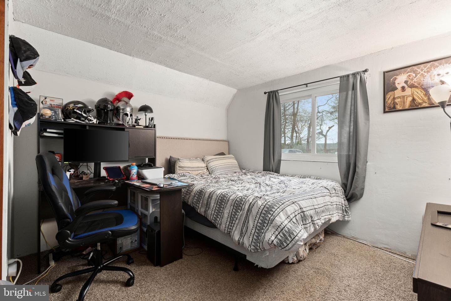 169 Pine Lane photo 22