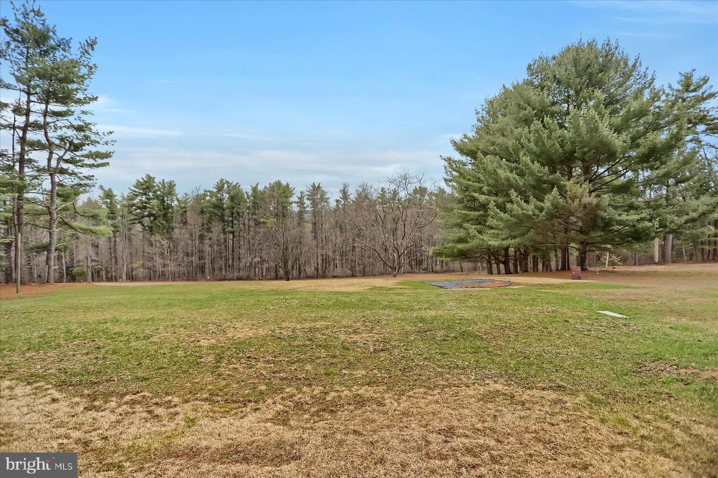 287 Pine Crest photo 40