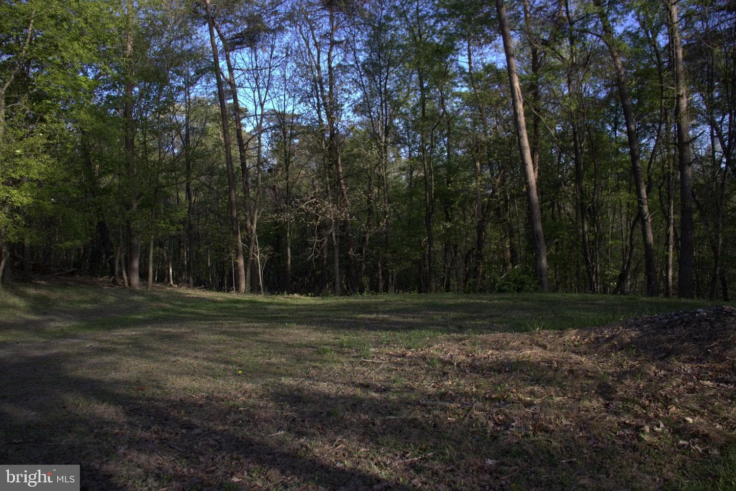620 Stonebridge Drive photo 128