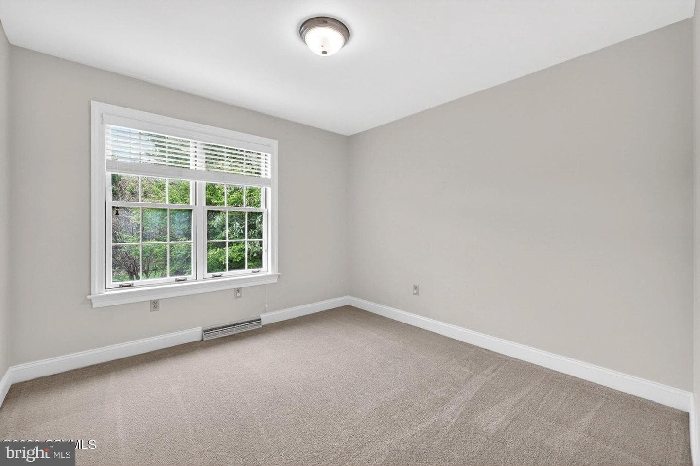 56 Edward Circle photo 23