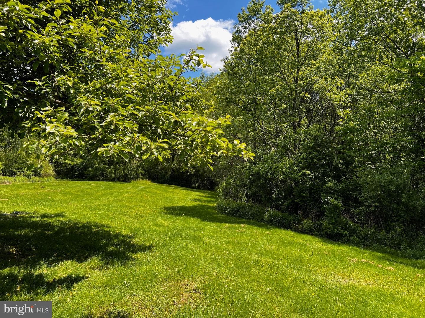 452 Boyds Mills Road photo 10